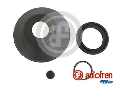 D3119 Autofren