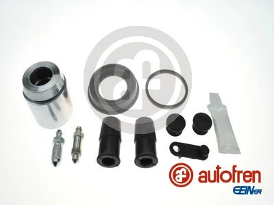 D42113C Autofren