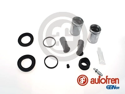D42253C Autofren