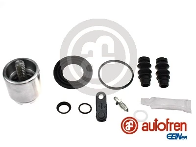 D43102LK Autofren