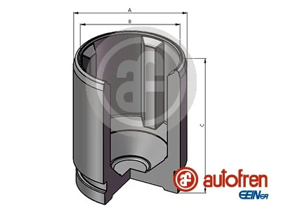 D025719 Autofren