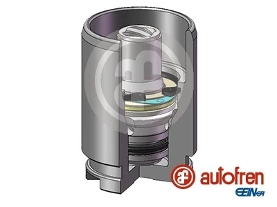 D02578K Autofren