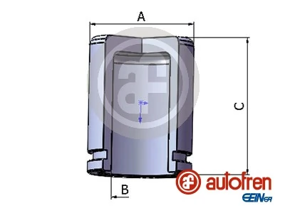 D025317 Autofren