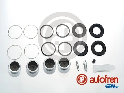 D42319C Autofren