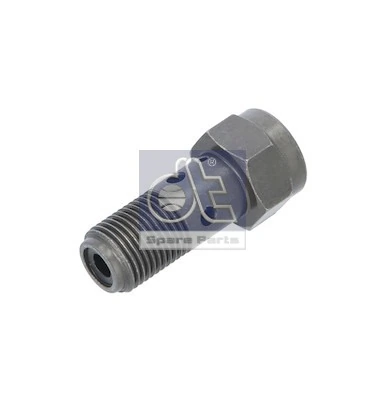 212371 Diesel Technic Válvula de derivação de combustível (parafuso banjo)