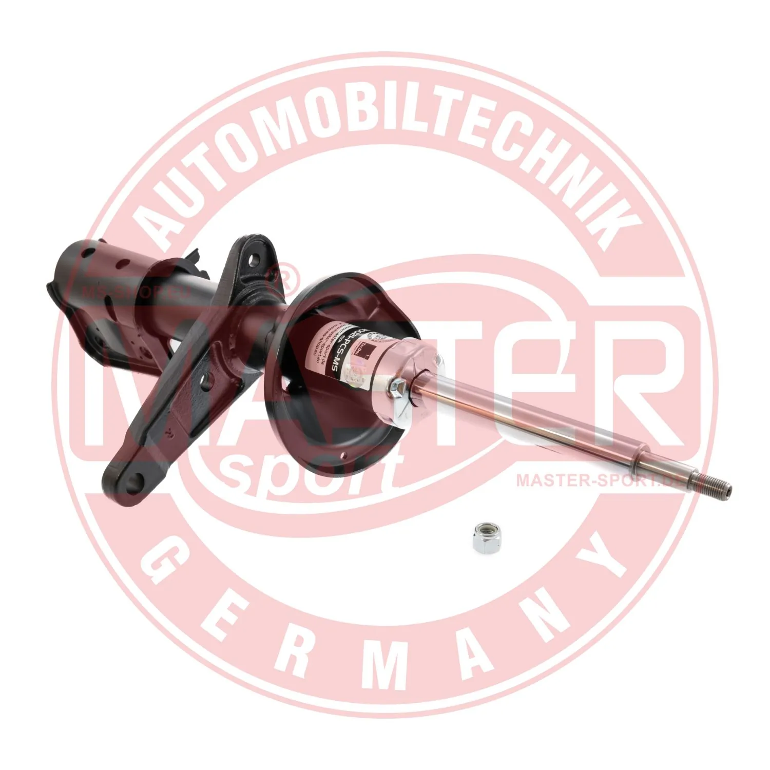 310021PCSMS Master-sport