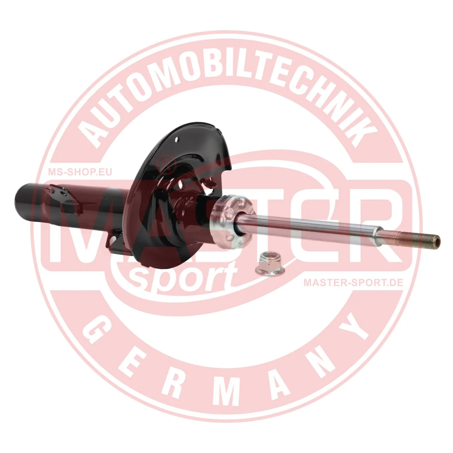 313671PCSMS Master-sport
