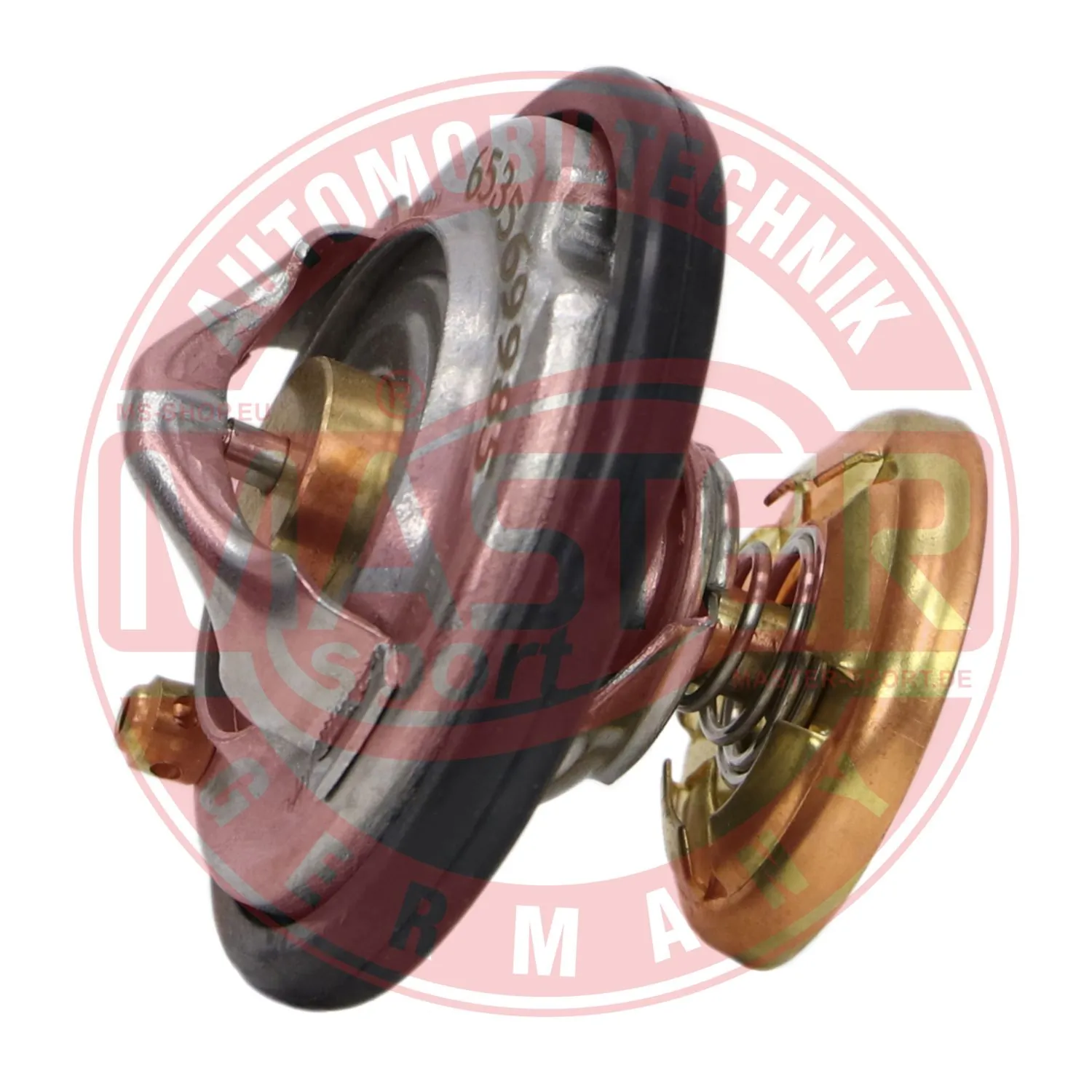 653569985 Master-sport