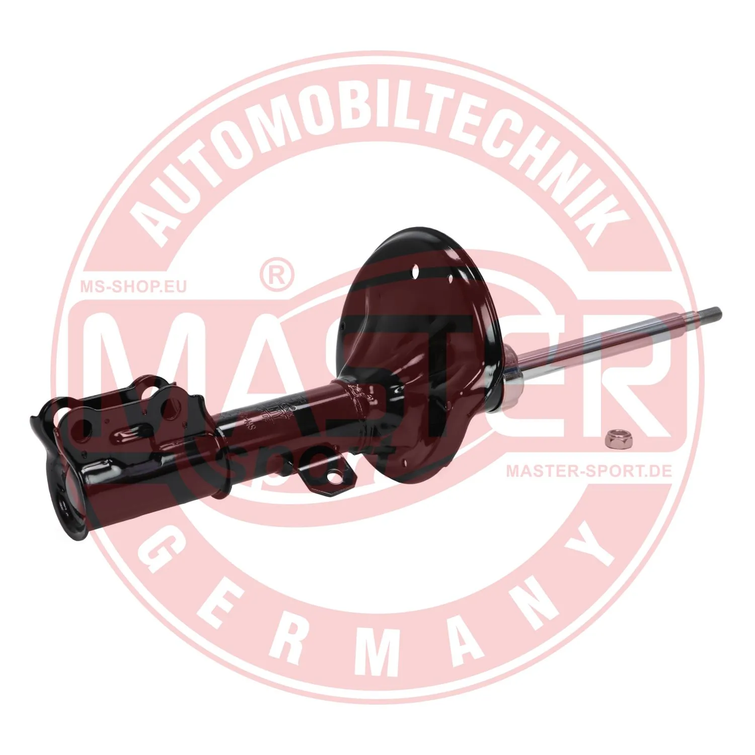 312579PCSMS Master-sport