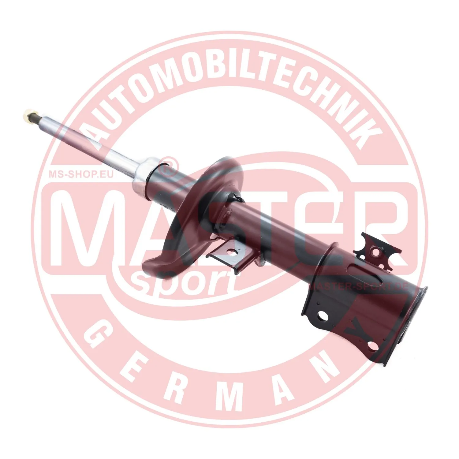 313798PCSMS Master-sport