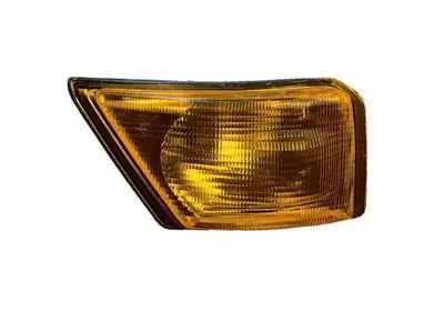 1315106149 Iveco Pisca-pisca direito