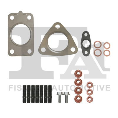 KT110135 FA1