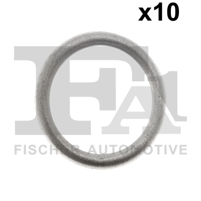 100058010 FA1