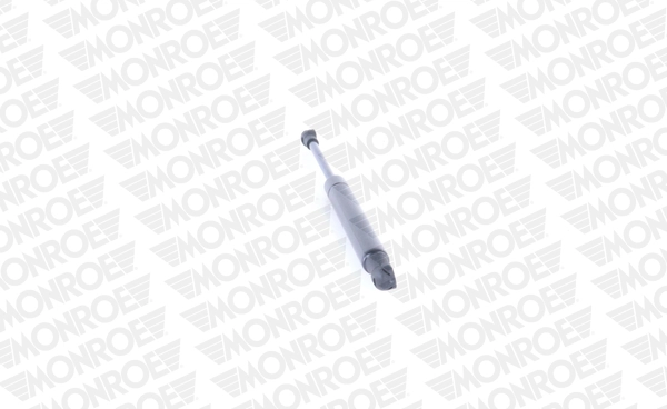 Amortecedor da capota BMW 3  E46