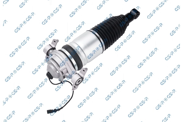 30900252 GSP