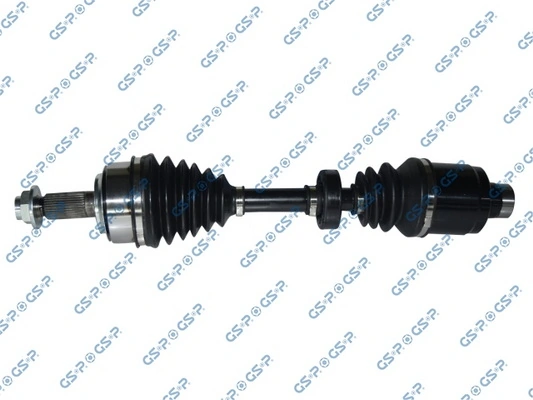 223189 GSP