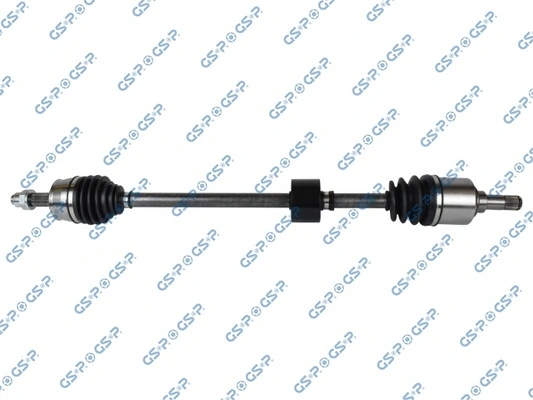 217033 GSP