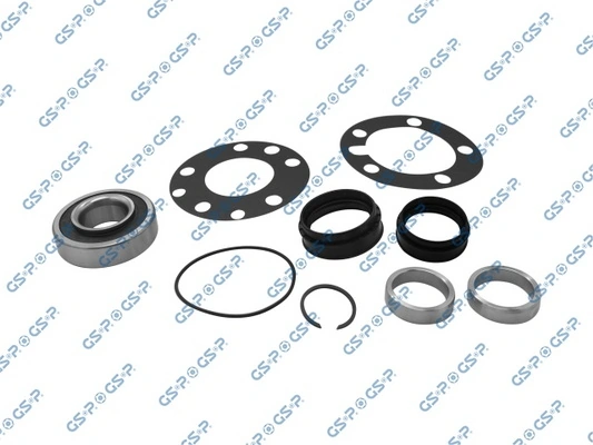 GK6901 GSP Rolamento de cubo traseiro