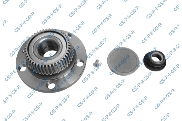 9230051K GSP Cubo traseiro