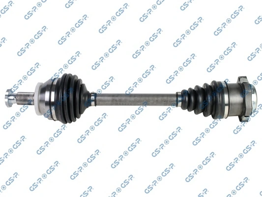 201921 GSP