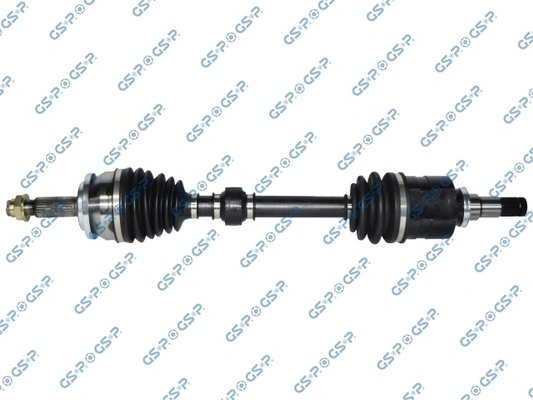 259508 GSP
