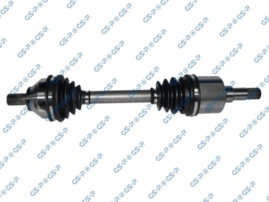 218198 GSP