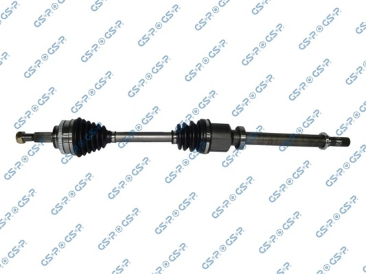 250373 GSP