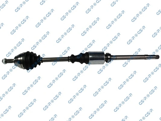 245025 GSP