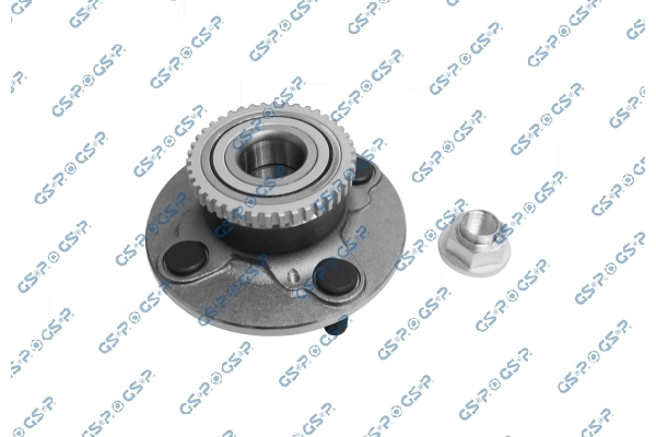 9228026K GSP Cubo traseiro
