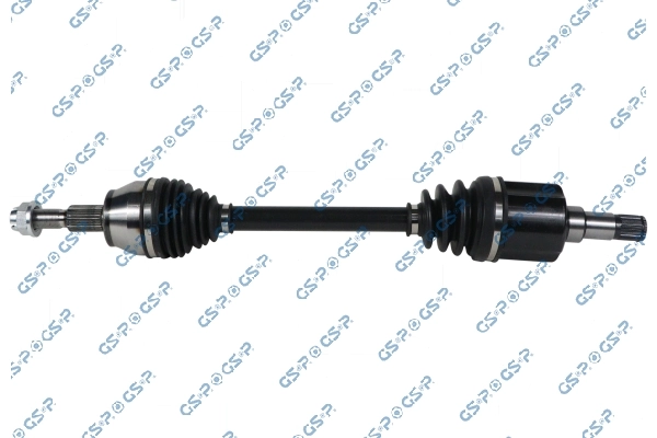 256085 GSP