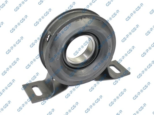 511380 GSP