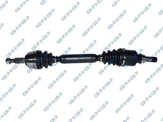 250403 GSP