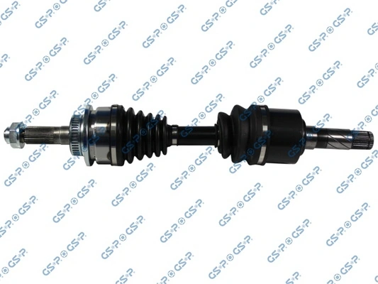 218211 GSP