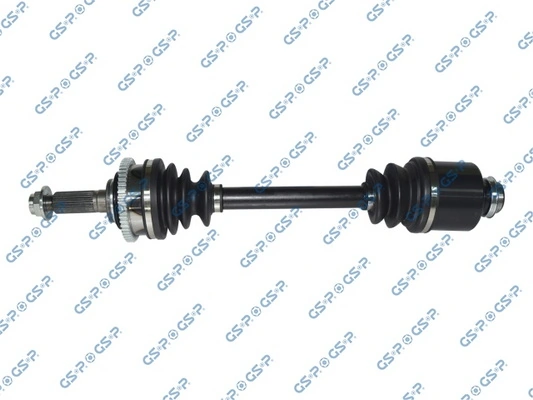 234166 GSP