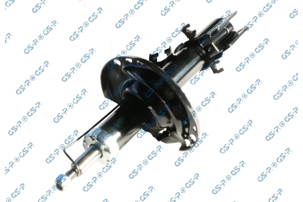 32306301 GSP
