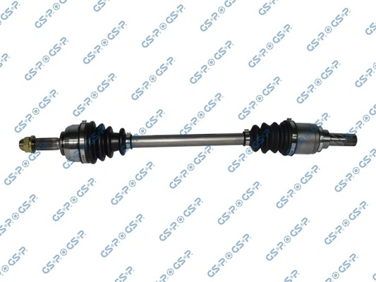 250369 GSP