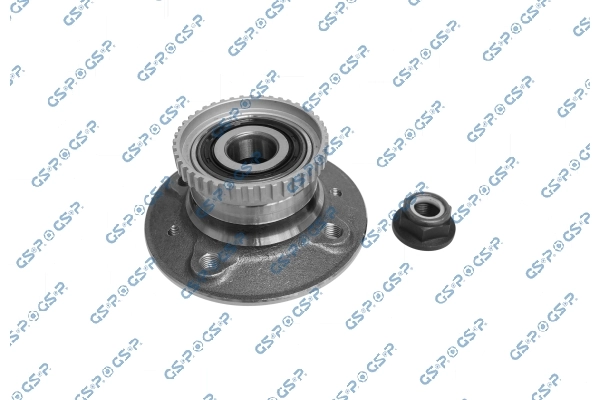 Cubo traseiro TGB12095S49 SNR