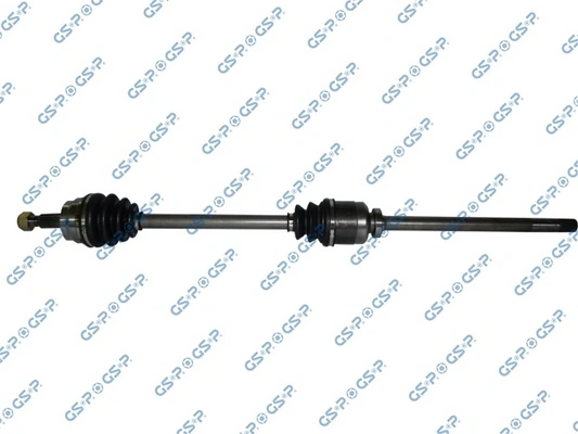 250066 GSP