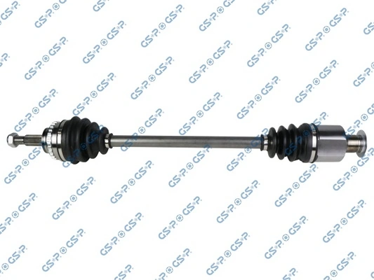 250193 GSP
