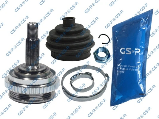828010 GSP
