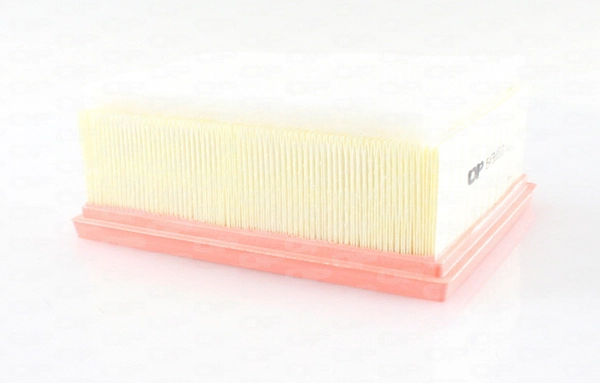 Filtro de ar para Renault Scenic R9
