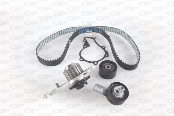 Correia do mecanismo de distribuição de gás, kit 1684891780 Peugeot/Citroen