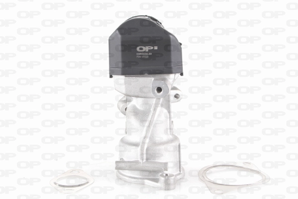 Comprar Kuga I CBV