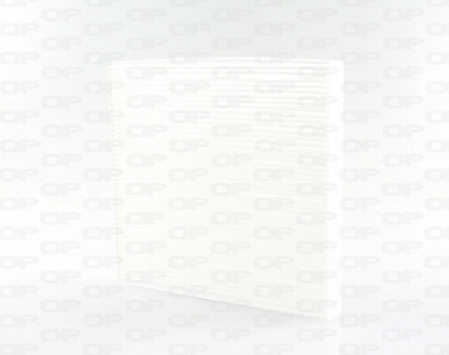 CAF213001 Open Parts