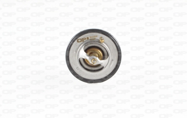 Compre 6000611040 Fiat/Alfa/Lancia Termostato