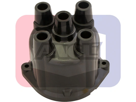 2450 Angli