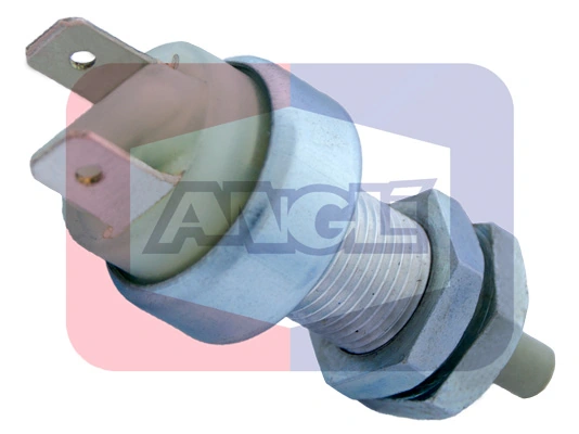 463 Angli