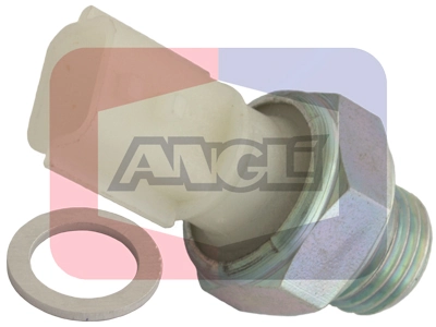 1487 Angli