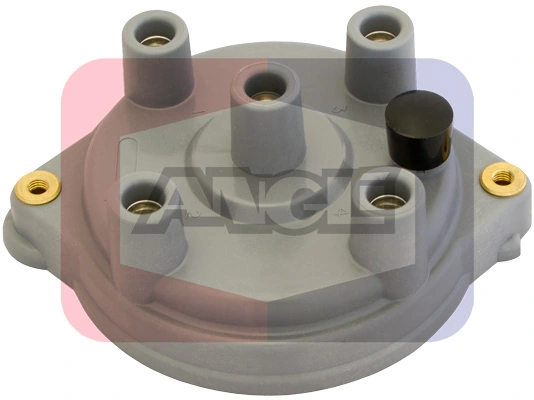 2244P Angli