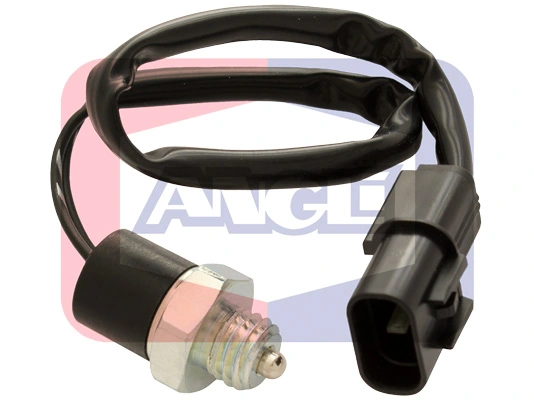 9279 Angli